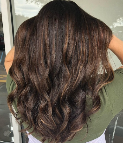 Chocolate Brown With Subtle Highlights Hair Color