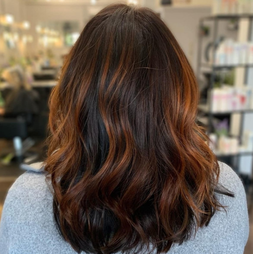 Copper Highlights On Black Hair 