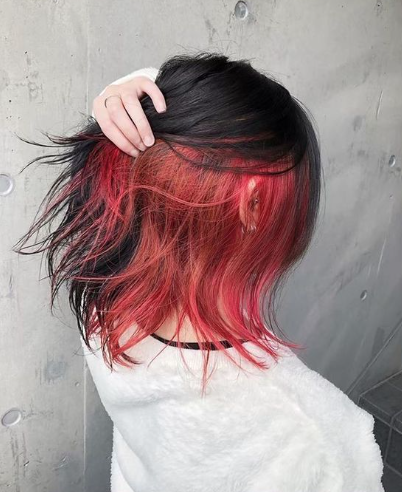 Red Inside Black Outside Hair