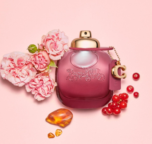 Coach Wild Rose Perfume Scent